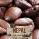 Nepal mono-origin - 1000g. torrefatto in grani - 100%Arabica - Selected high quality blend